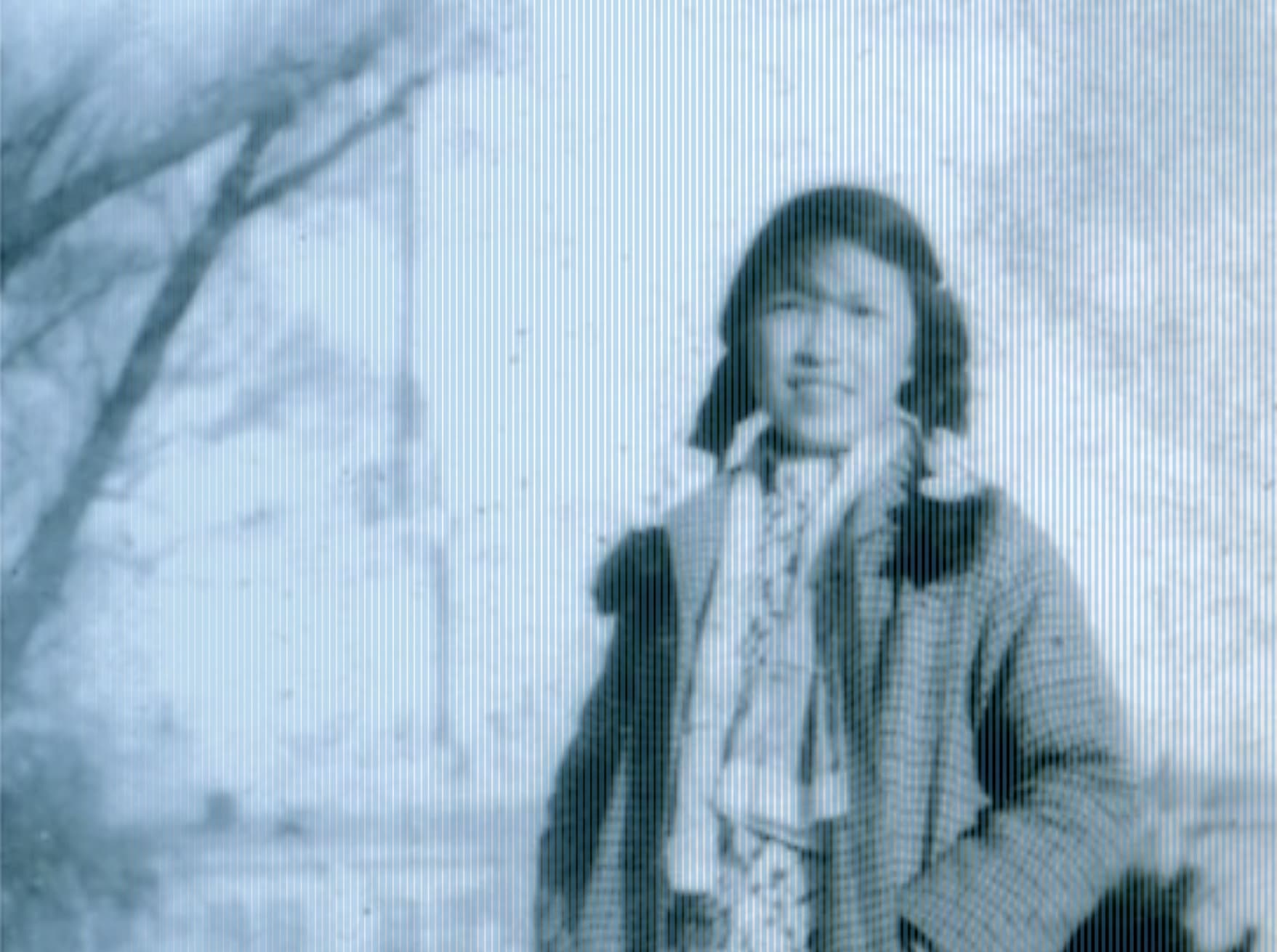 Cover image for article: Memory as Resistance: Reading Lin Zhao at Hoover